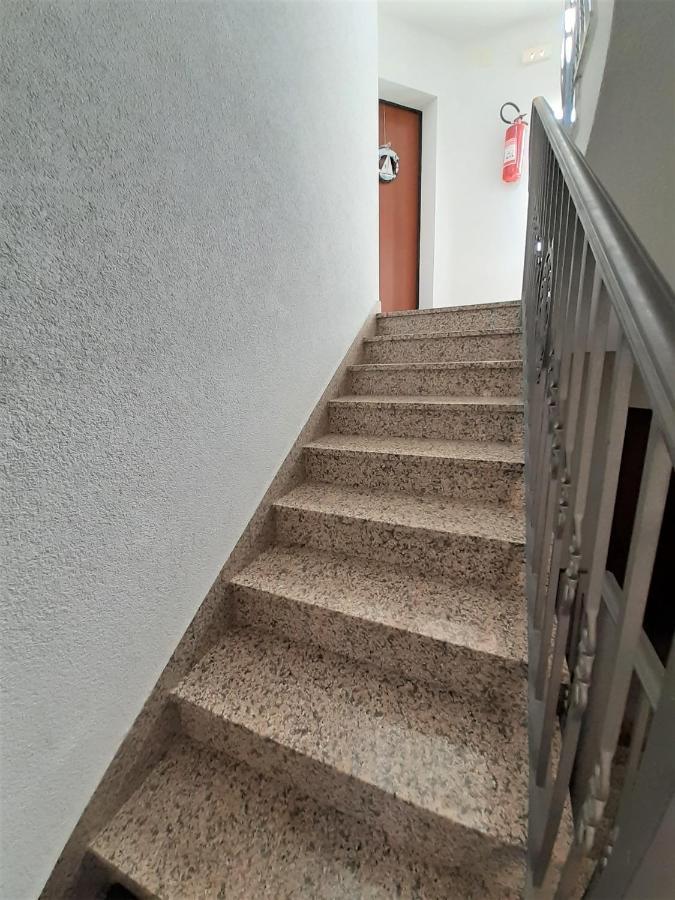 Apartment Camellia Vantacici Zewnętrze zdjęcie
