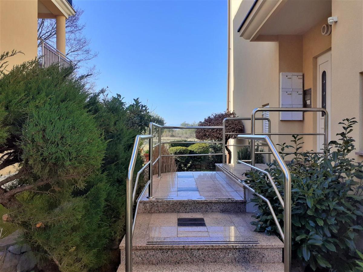 Apartment Camellia Vantacici Zewnętrze zdjęcie
